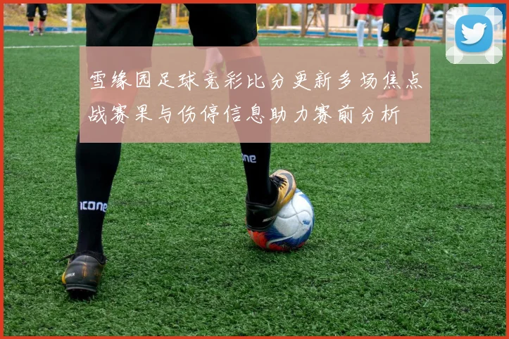 雪缘园足球竞彩比分更新多场焦点战赛果与伤停信息助力赛前分析