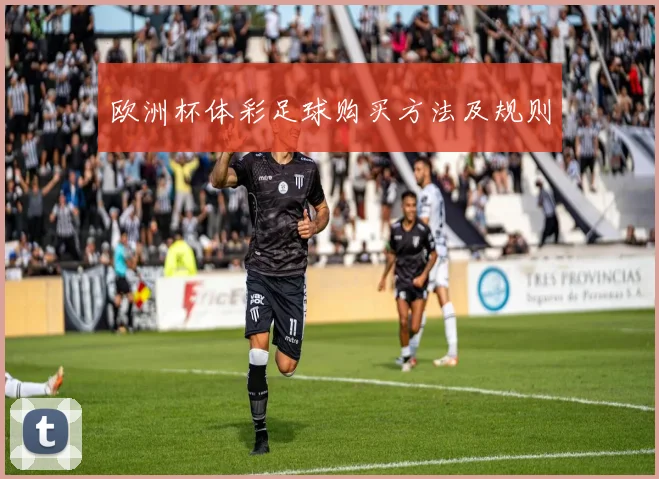 欧洲杯体彩足球购买方法及规则